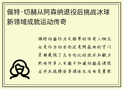 佩特·切赫从阿森纳退役后挑战冰球新领域成就运动传奇